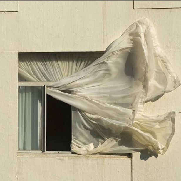 photo_2020-04-17 10.00.34.jpeg