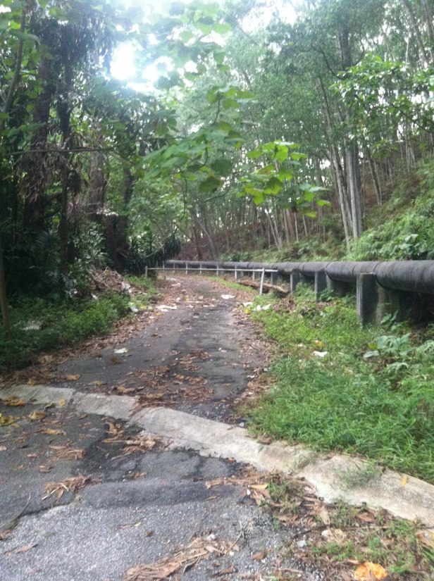 Lối vào rừng, bên ngoài có biển chỉ dẫn một số nguyên tắc an toàn, ví dụ như không cho khỉ ăn.